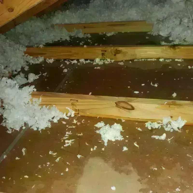 Attic Water Damage in Kodiak Station, AK